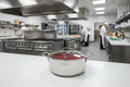 Faitout 28cm - Napoleon Imperial - Inox